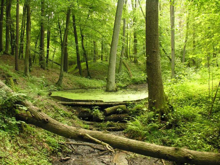 Zbiornik retencyjny fot. T.Charkiewicz