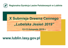 X Submusja Drewna Cennego "Lubelska Jesień 2019"