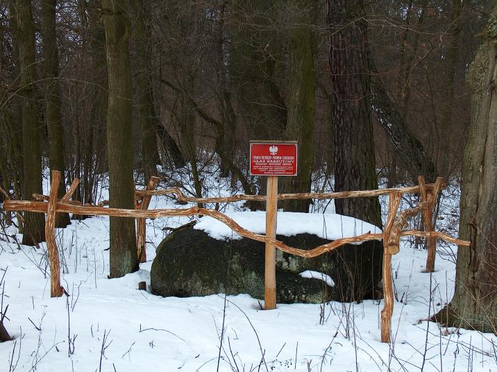 Głaz narzutowy fot. T.Charkiewicz.JPG