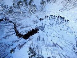 Zdjęcie lasów Nadleśnictwa Sarnaki z drona fot. G.Jakimiuk