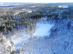 Zdjęcie lasów Nadleśnictwa Sarnaki z drona fot. G.Jakimiuk