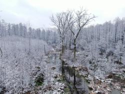 Zdjęcie z drona fot. G.Jakimiuk