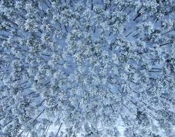 zdjęcia z drona fot. G.Jakimiuk