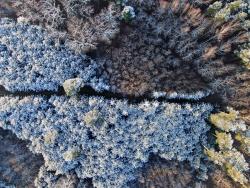 zdjęcia z drona fot. G.Jakimiuk